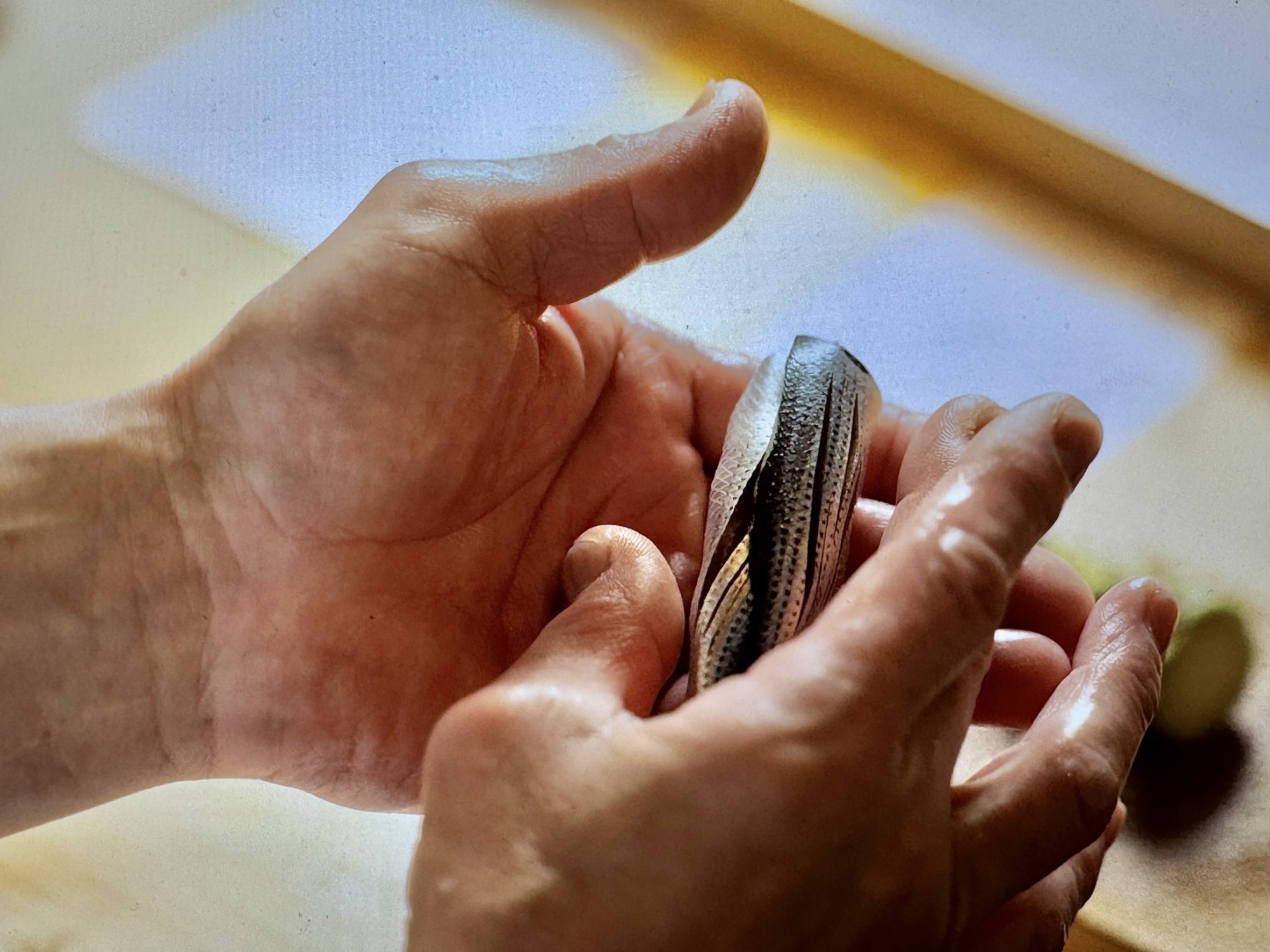 大将が鮨を握る手元