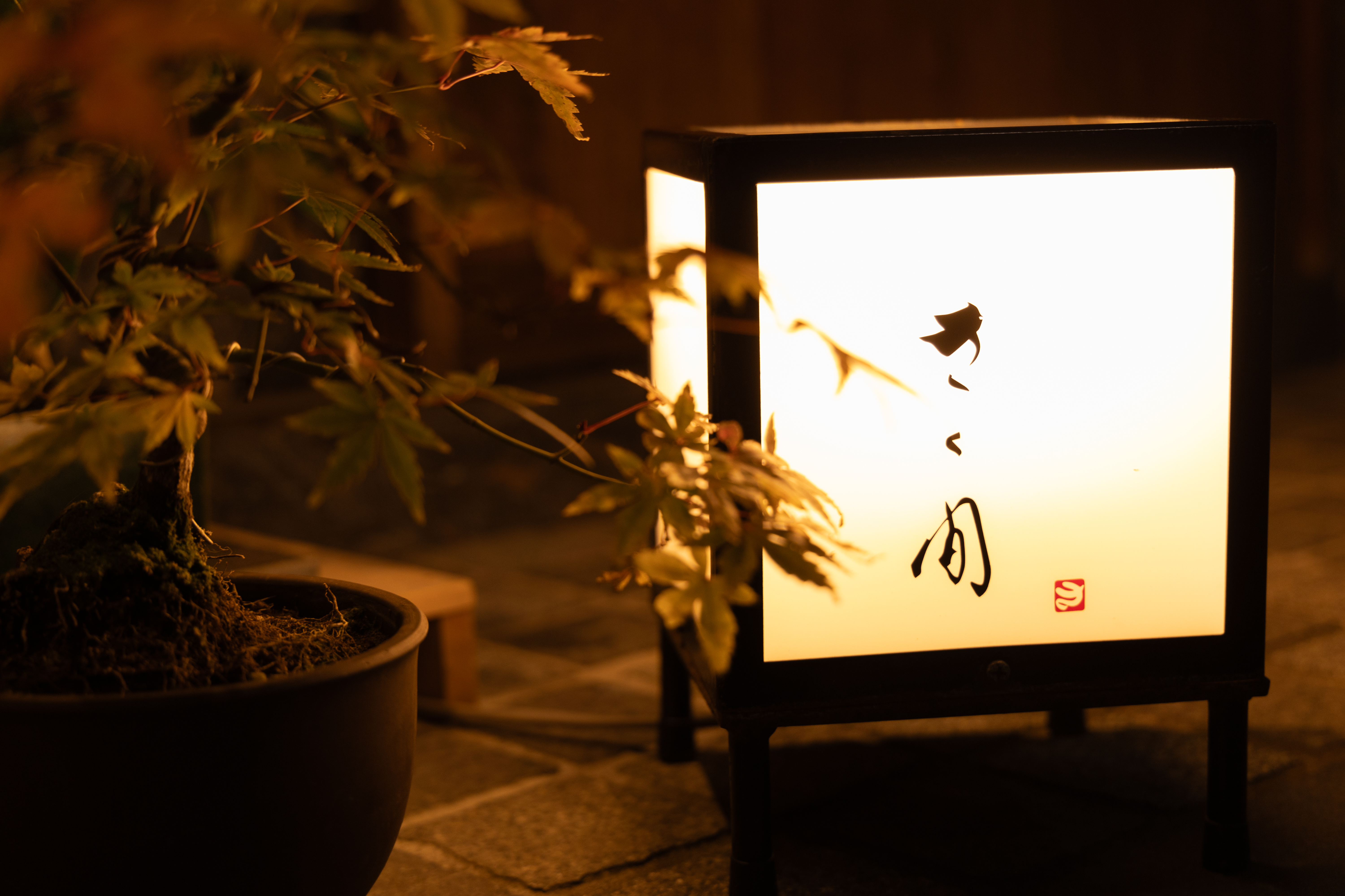 行灯の灯りが揺れる店内